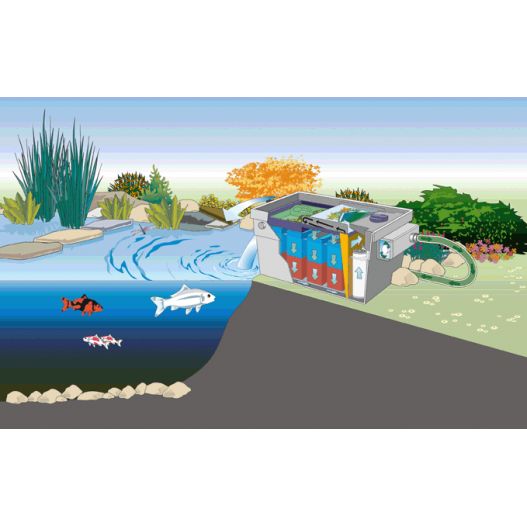 Schema Filtre UV bassin Bitron C 24W Oase