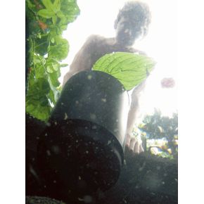 Photo 2 Aspirateur de surface Skimmer AquaSkim 40 Oase