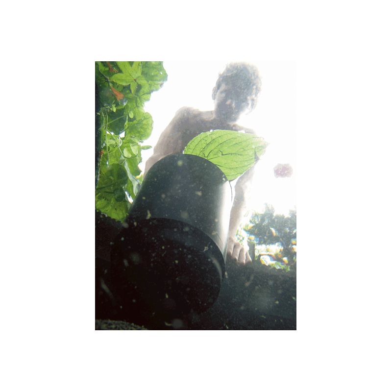 Photo 2 Aspirateur de surface Skimmer AquaSkim 40 Oase