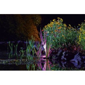 Photo 2 ProfiLux Garden LED RVB OASE