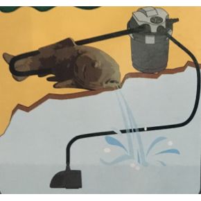 Schema Décoration Carpe Koï SuperFish Deco-Filter