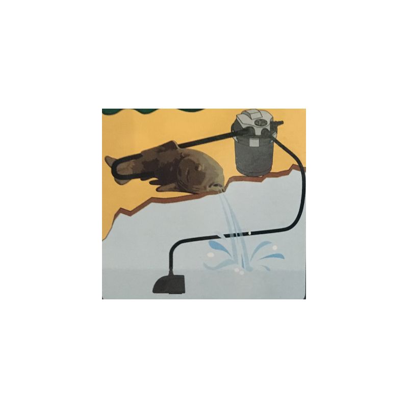 Schema Décoration Carpe Koï SuperFish Deco-Filter