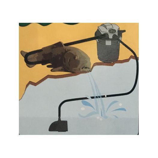 Schema Décoration Carpe Koï SuperFish Deco-Filter