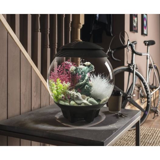 Photo biOrb Halo 15L MCR Blanc