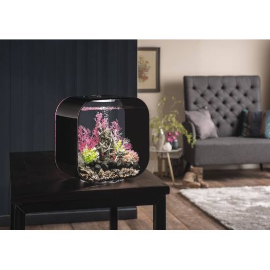 Photo biOrb Life 30L MCR Noir