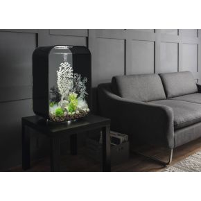 Photo biOrb Life 60L MCR Noir