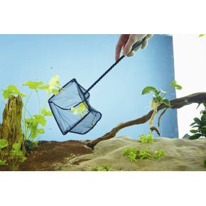 Photo Epuisette à poisson 15cm