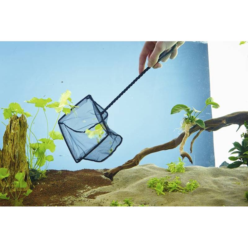 Photo Epuisette à poisson 15cm