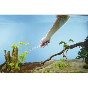 Photo Pince à plantes