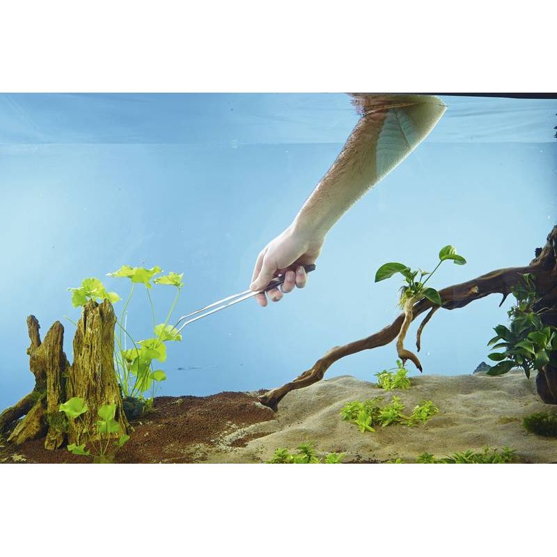 Photo Pince à plantes