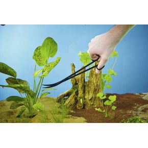 Photo Ciseaux à plantes