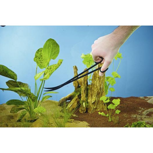 Photo Ciseaux à plantes