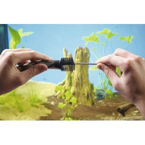 Photo Brosse spiralée/écouvillon