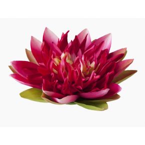 Photo FLEUR FLOTTANTE ARTIFICIELLE FUCHSIA Ø13CM