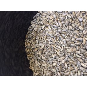 Photo Nourriture Carpe Koi Midori 10L Aqua Excel