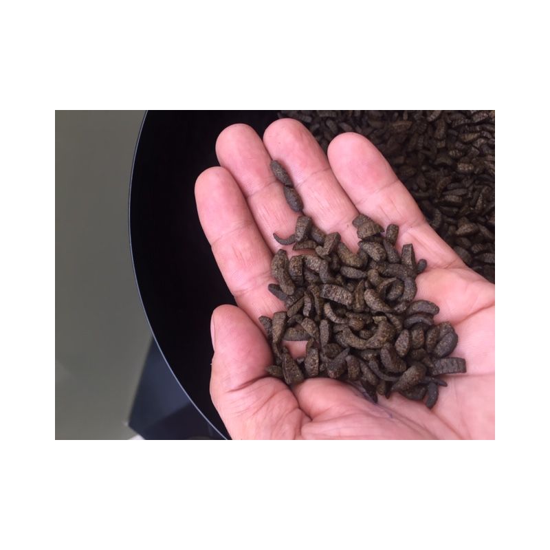 Zoom Nourriture Carpe Koi Midori 5L Aqua Excel