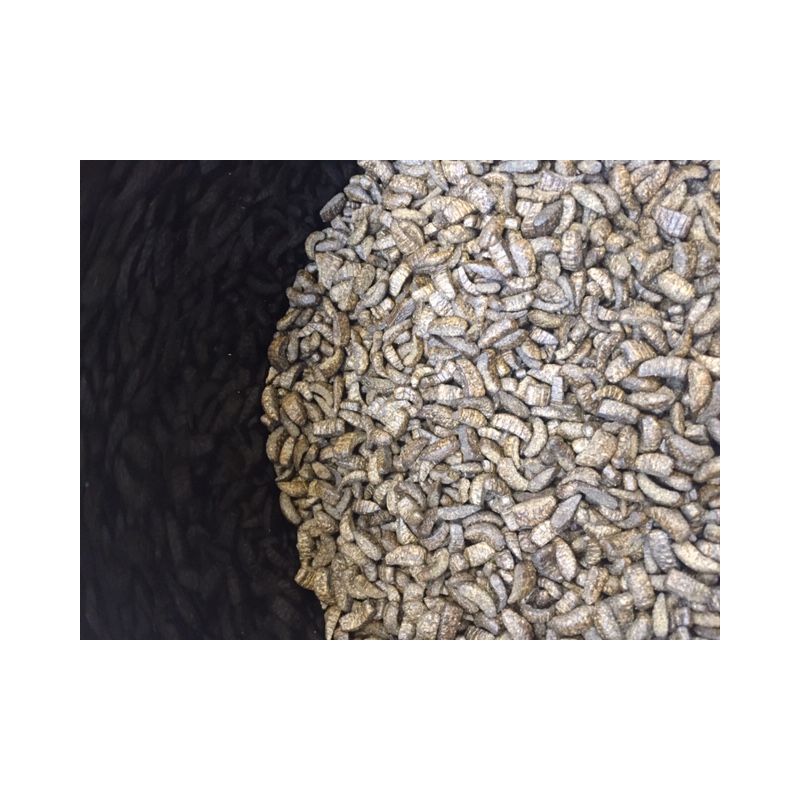 Photo Nourriture Carpe Koi Midori 5L Aqua Excel