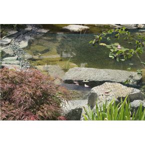 Photo Filet de protection bassin Aquanet 6 x 10 m Oase