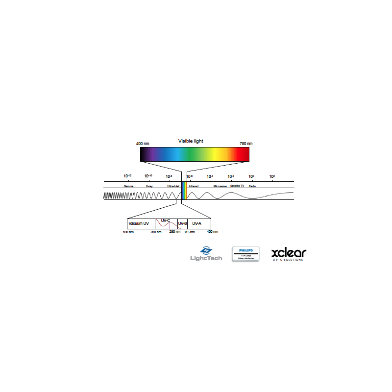 Courbe Lampe UV 40/102W pour filtre Bio-uv