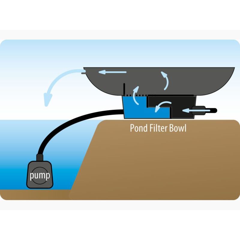 Schema Vasque pour bassin de jardin