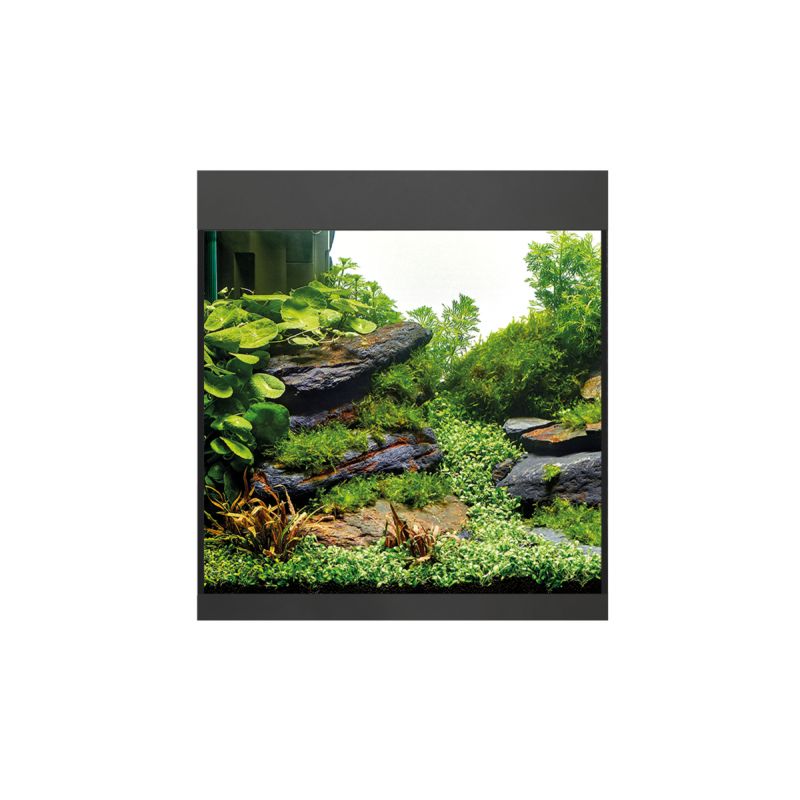 Photo Aquarium StyleLine 85 noir