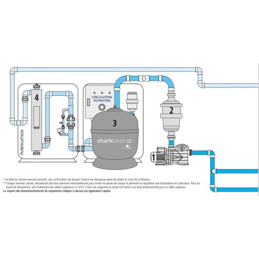 Schema Shark bead 15