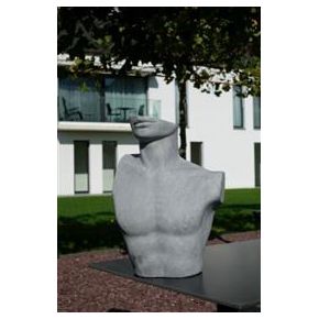 Photo 2 Deco buste homme gris