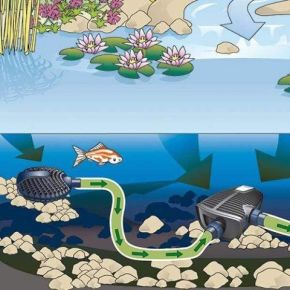 Schema Filtre Satellite Crépine Aquamax Eco Oase