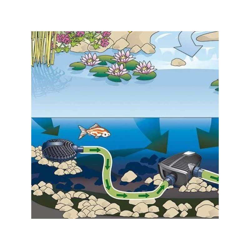 Schema Filtre Satellite Crépine Aquamax Eco Oase