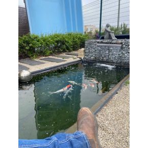 Bassin rectangulaire 305 x 155 x 80 cm 2600L