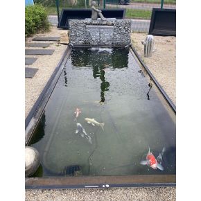 Bassin Rectangulaire 340 x 215 x 90 cm 4500L