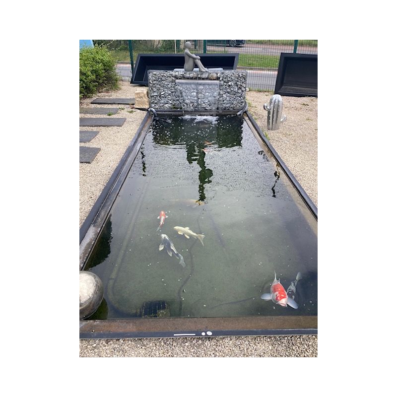 Bassin Rectangulaire 340 x 215 x 90 cm 4500L