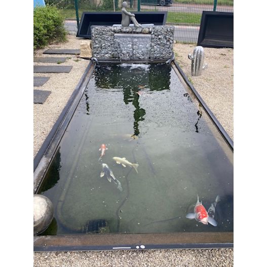 Bassin Rectangulaire 340 x 215 x 90 cm 4500L