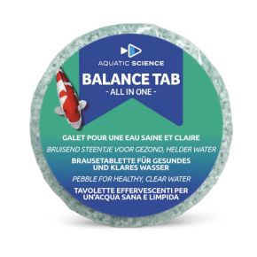 Balance Tab All In One galet effervescent