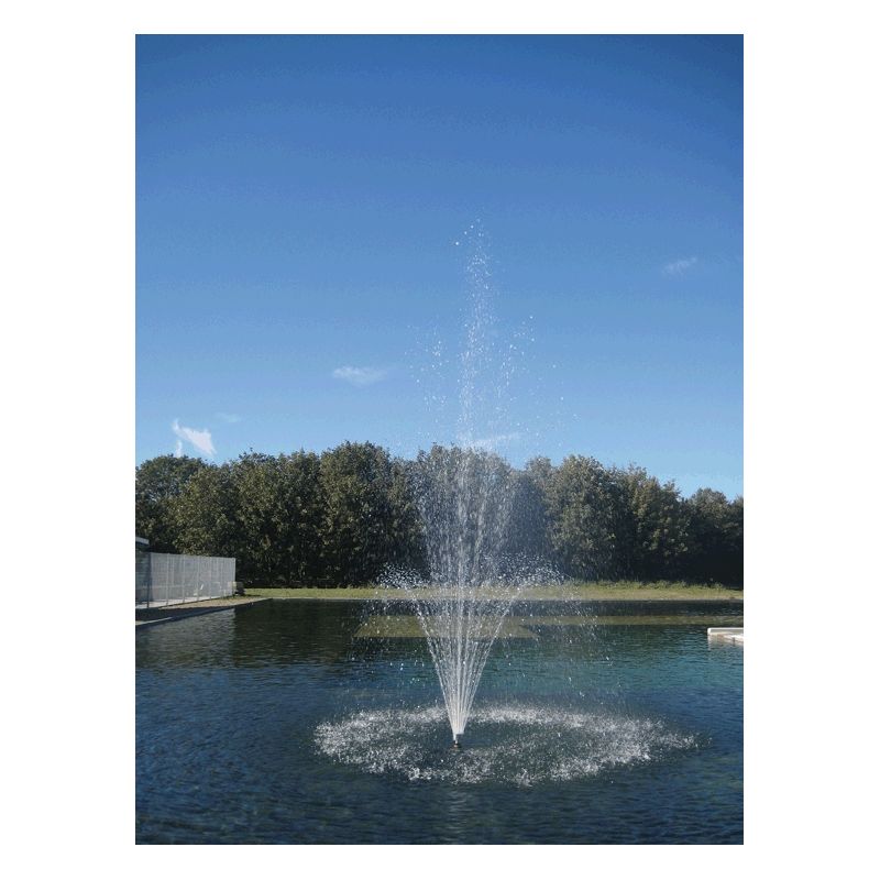 Jet Ajustage Jet Volcan Oase 37-3 Argent Jeux d'eau riches et variés