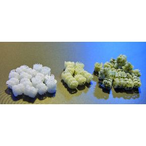 Photo 2 Proficlear Premium Moving Bed Oase