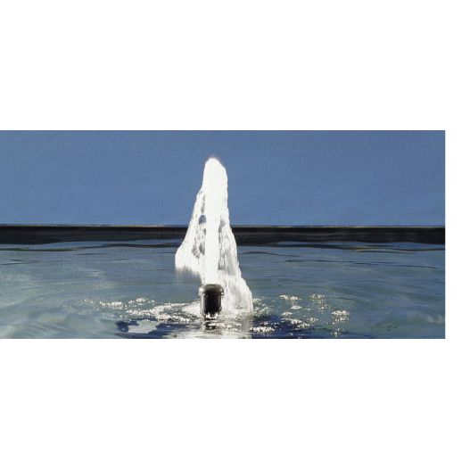 Jet 1 Jet d'eau Moussant 22-5 K Oase Jeux d'eau riches et variés