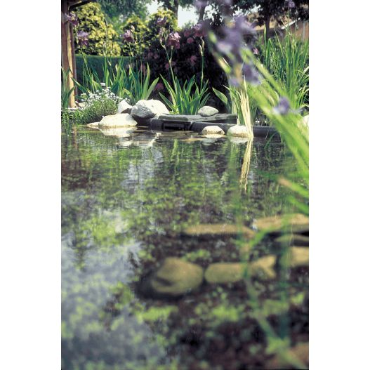 Photo Aspirateur de surface BioSys Skimmer Plus Oase