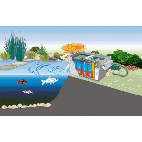 Schema Filtre UV bassin Bitron C 36W Oase