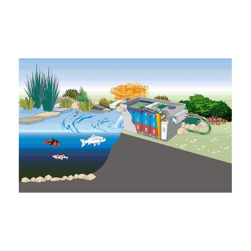 Schema Filtre UV bassin Bitron C 36W Oase