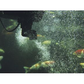 Photo 3 Aspirateur de surface Skimmer SwimSkim 50 Oase