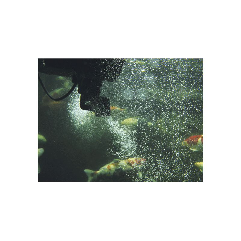 Photo 3 Aspirateur de surface Skimmer SwimSkim 50 Oase