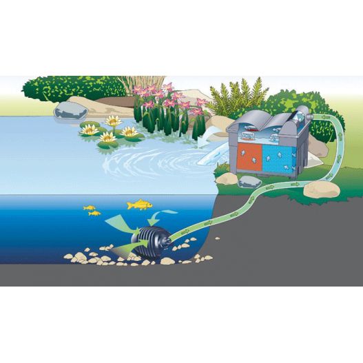 Schema Filtration bassin BioSmart Set 7000 filtre gravitaire oase