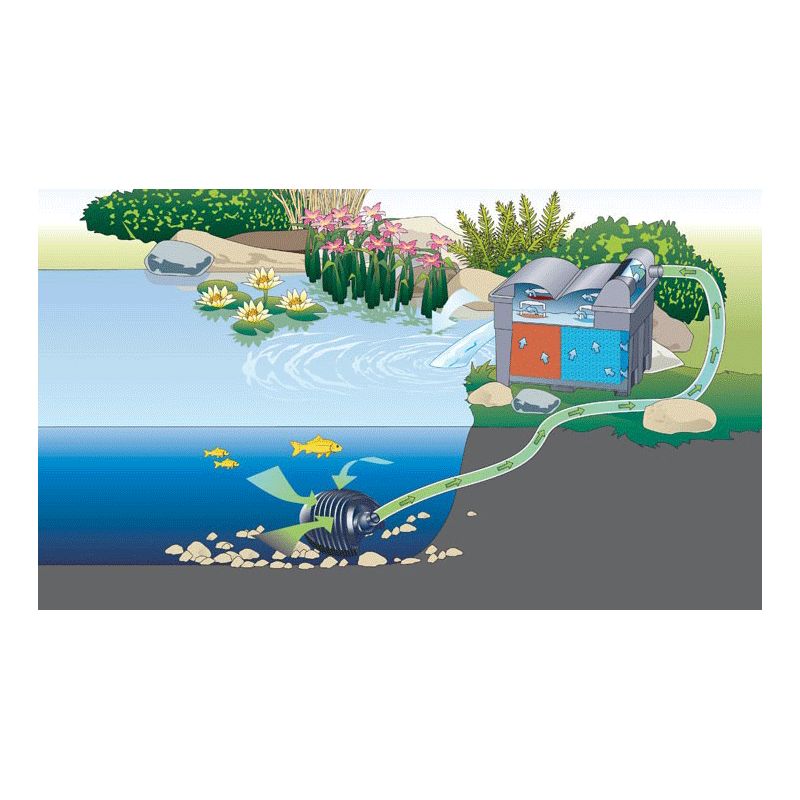 Schema 1 Filtration bassin BioSmart Set 14000 filtre gravitaire Oase