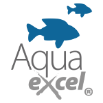 AQUA EXCEL