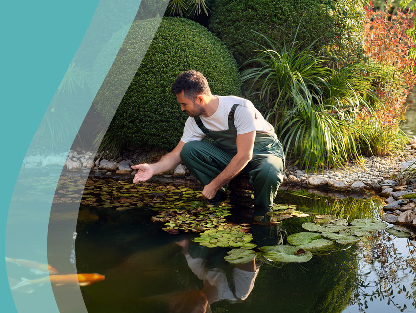 Un expert à votre disposition